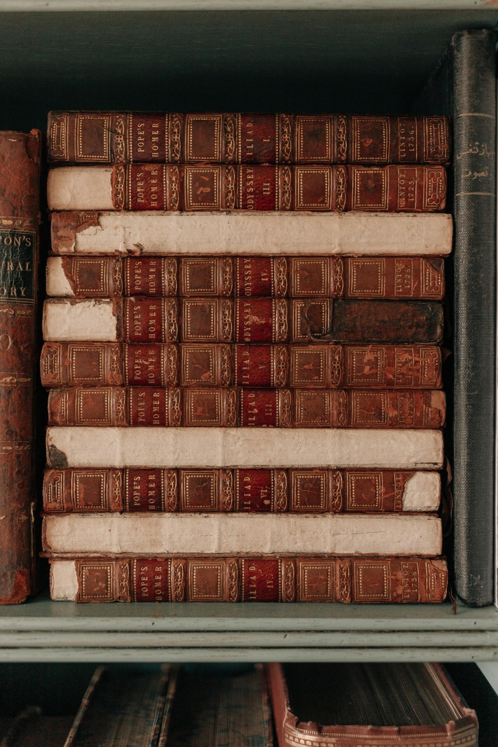 rangée de livres