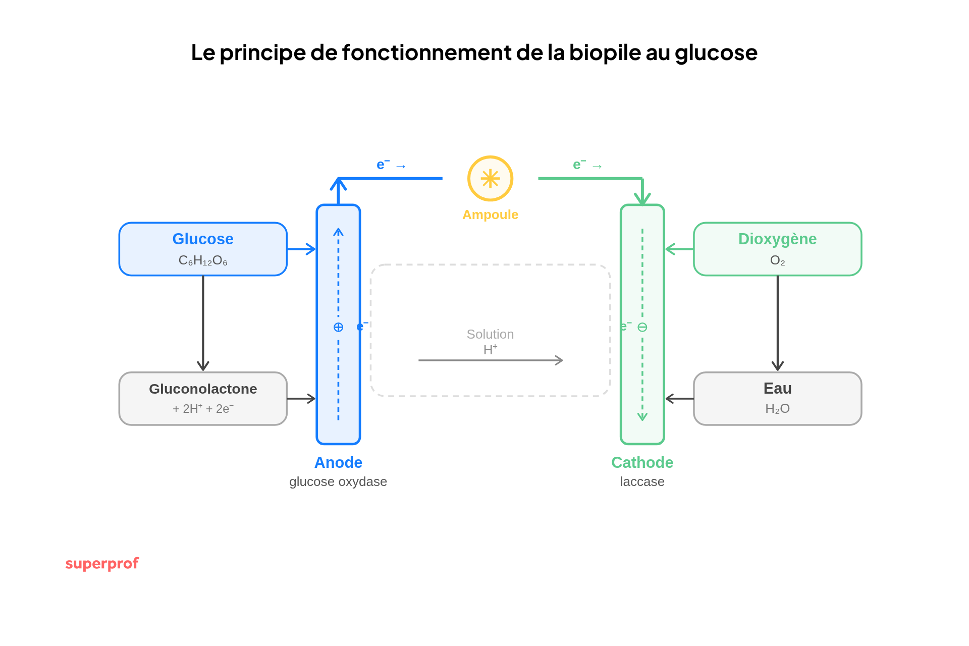 schema du principe de fonctionnement de la biopile du glucose