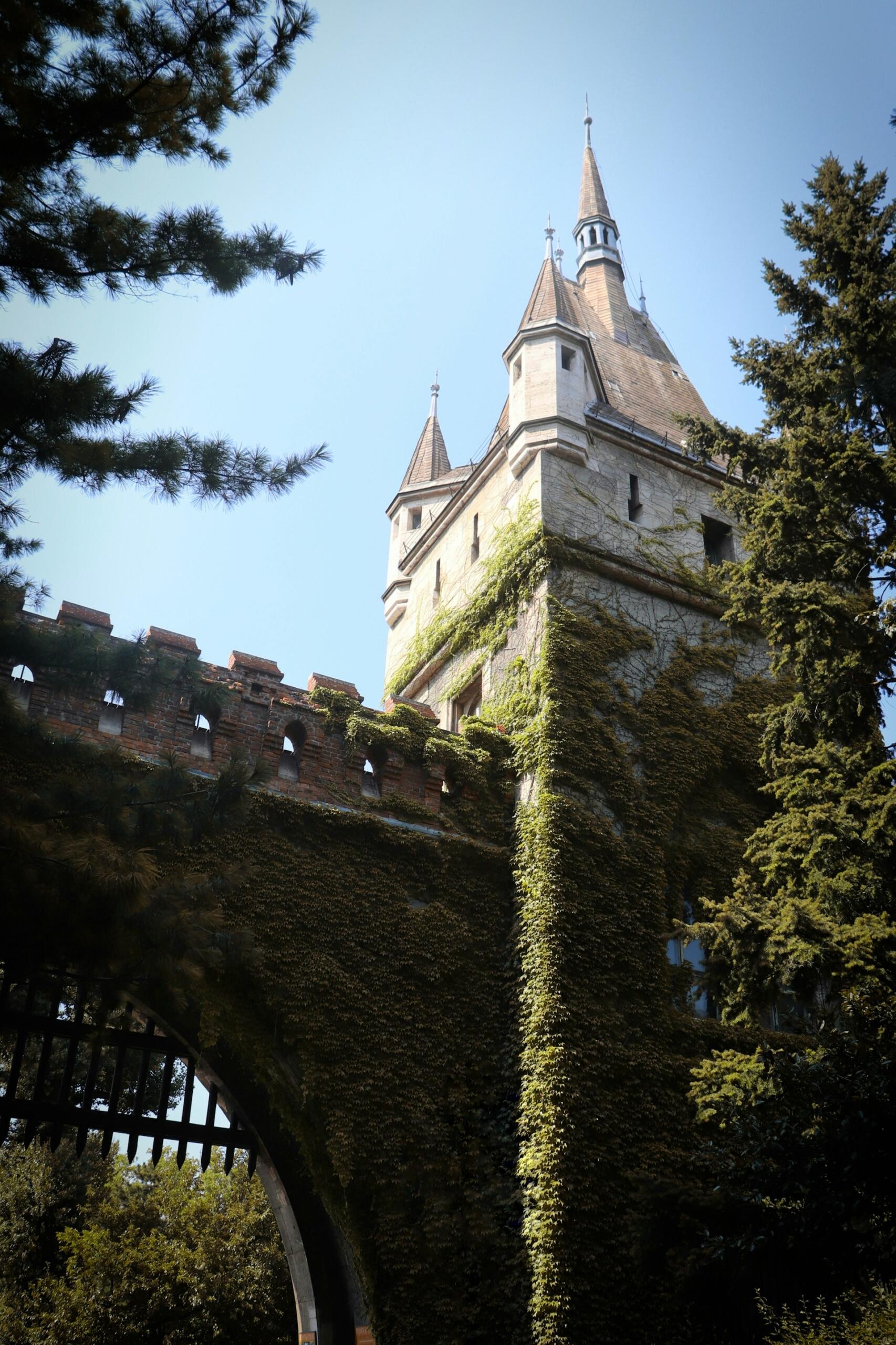château médiéval