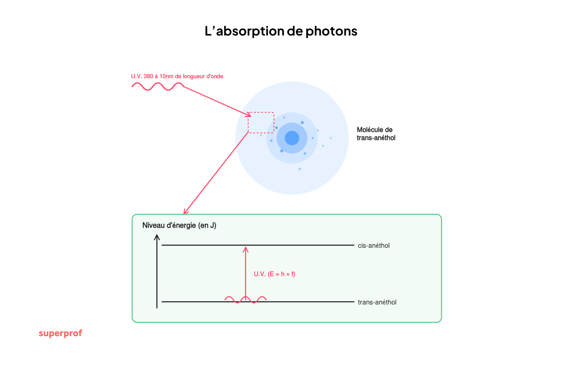 schema de l absorption de photons