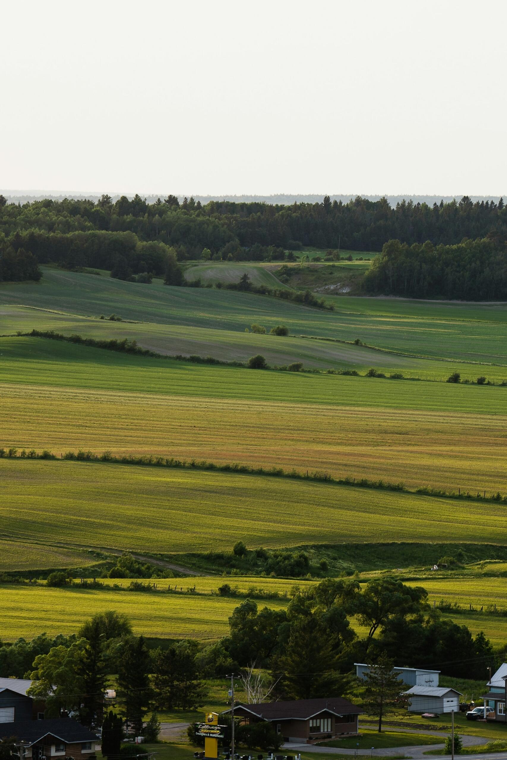 champ paysage