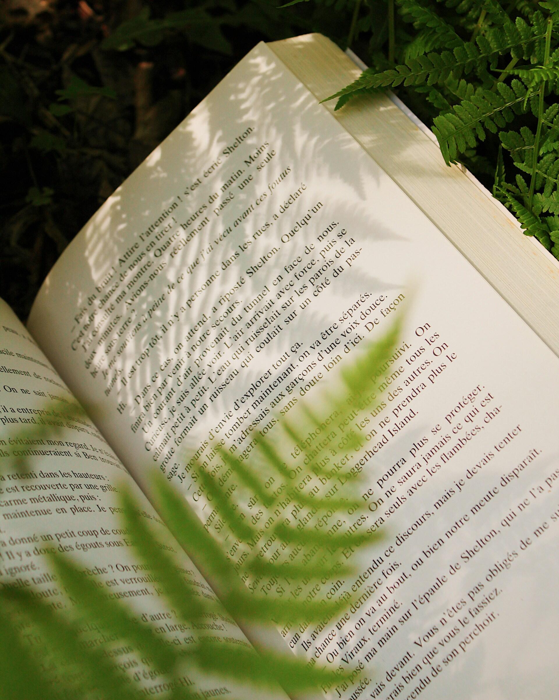 écriture livre