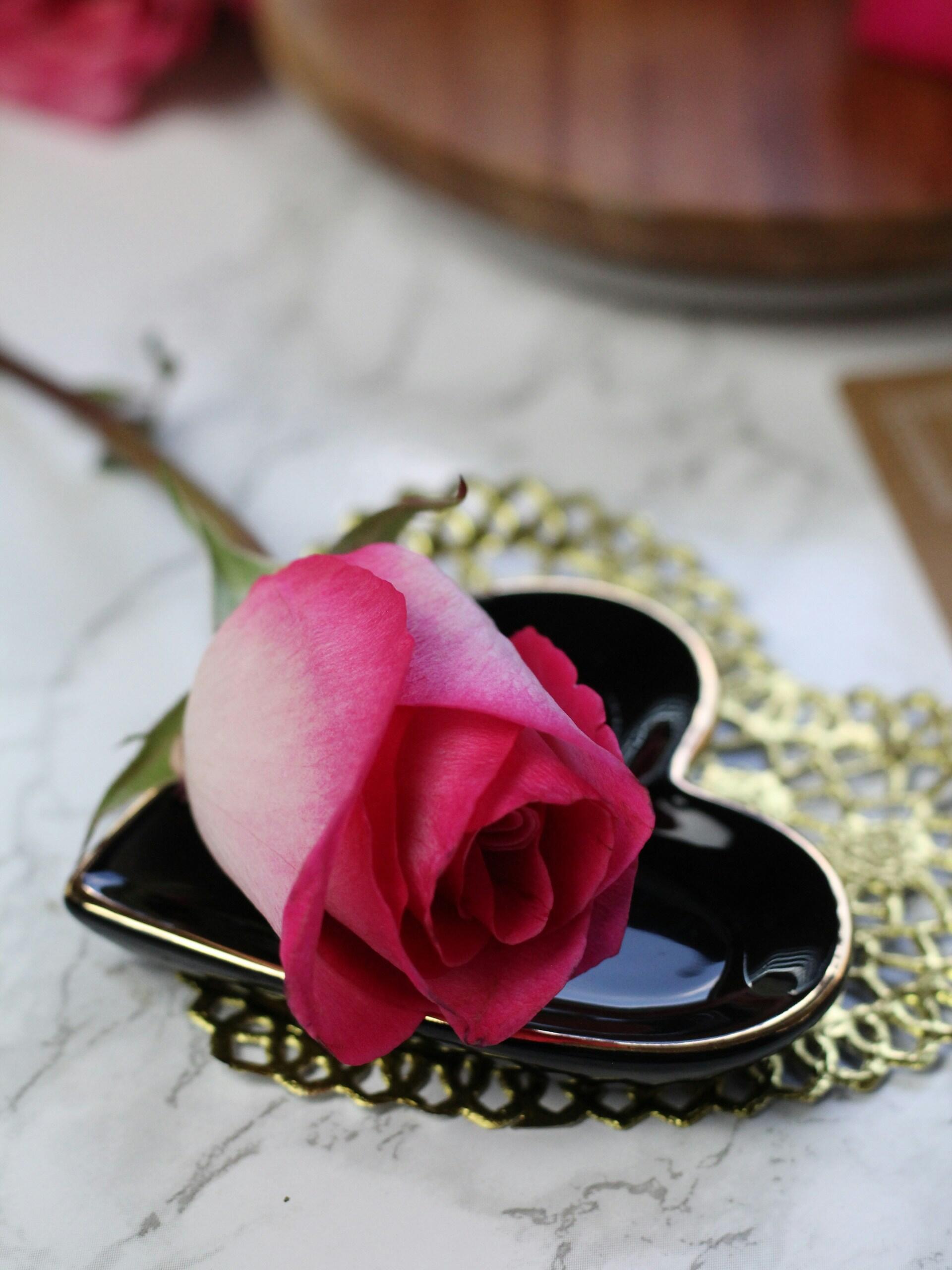 rose sur un coeur