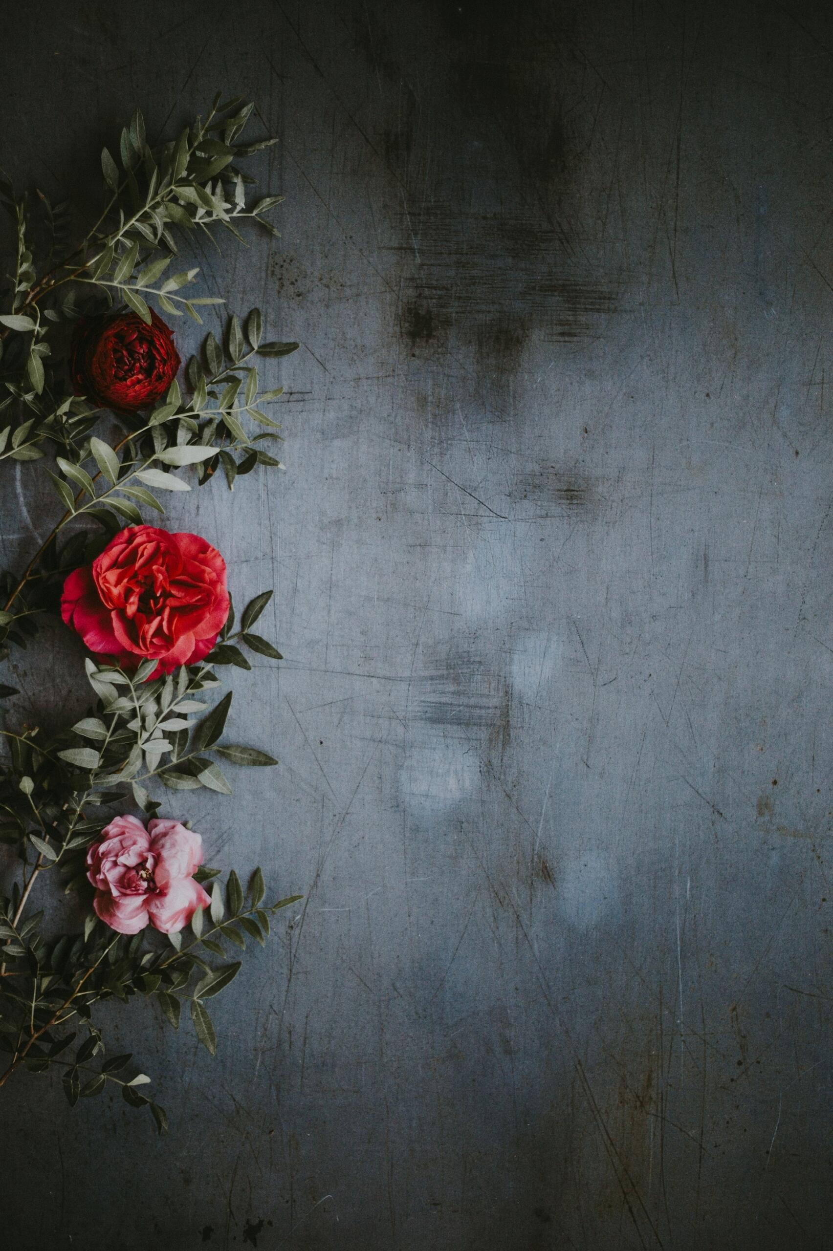 roses poème