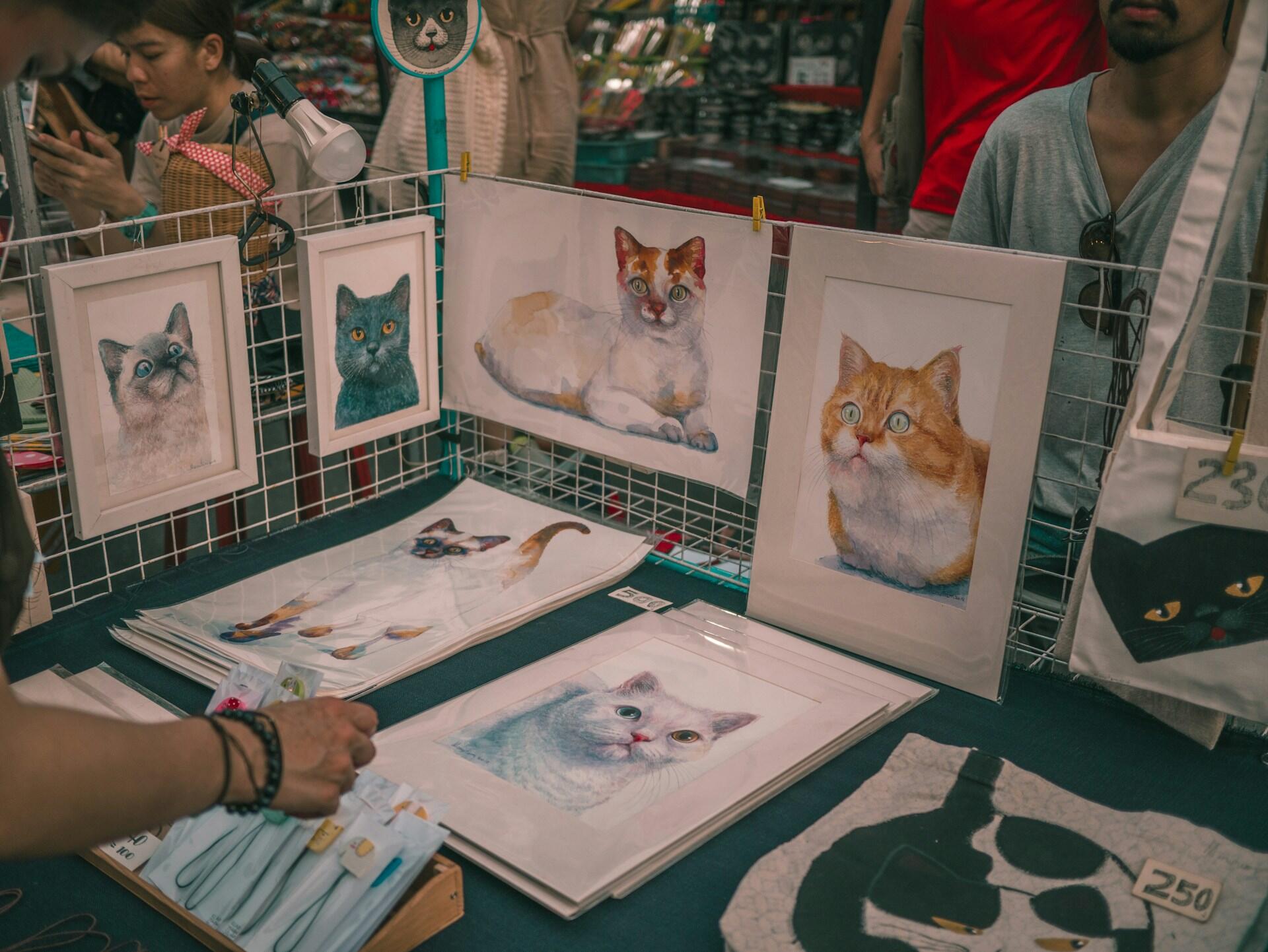 dessins chats