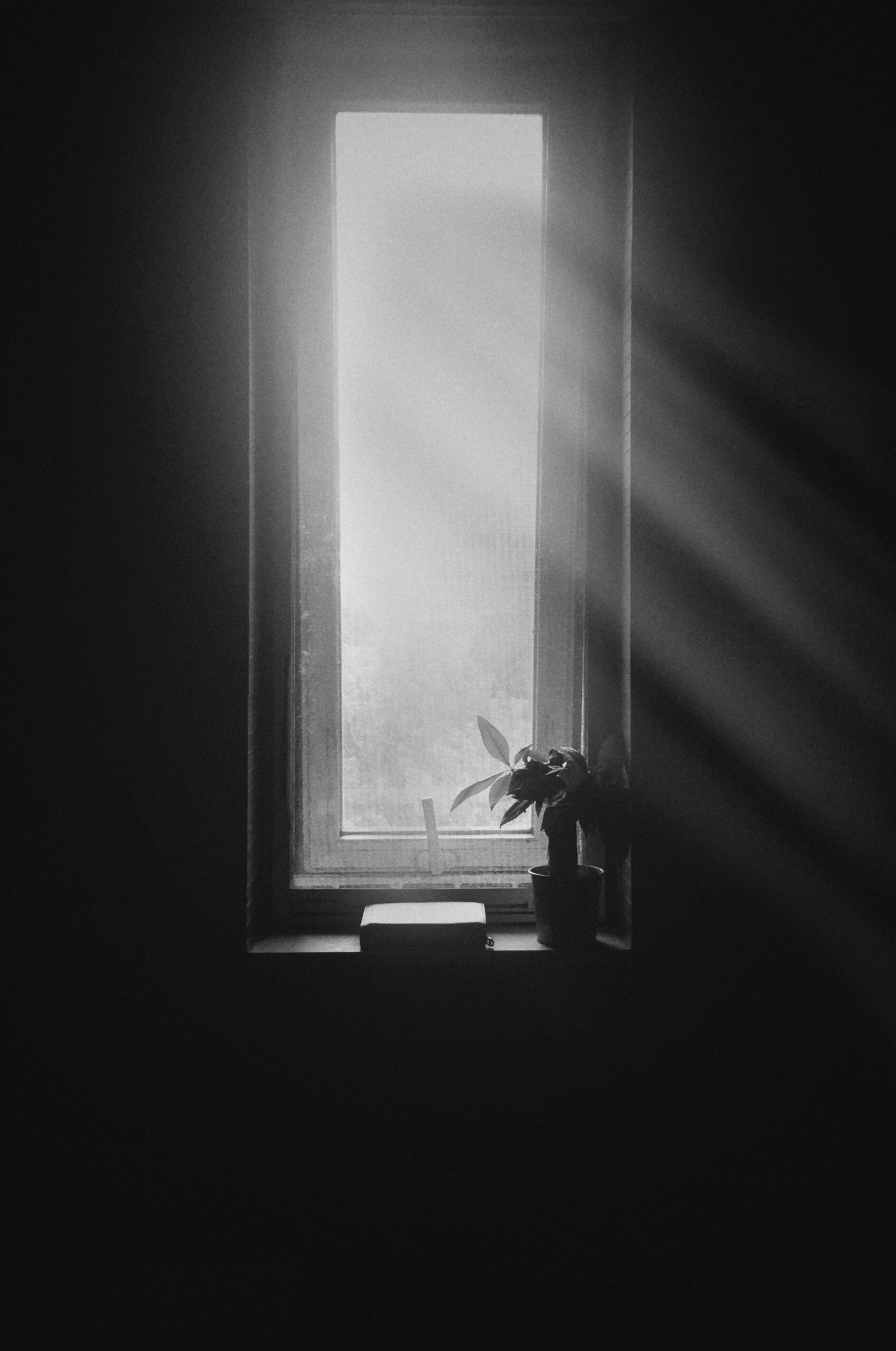 lumière fenêtre