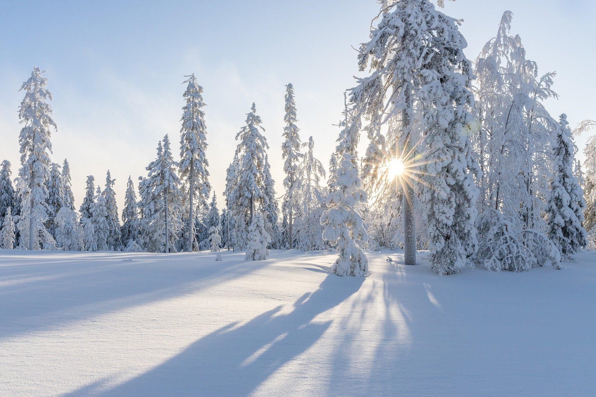 Quelles sont les différences entre le ski de fond et le ski alpin ?
