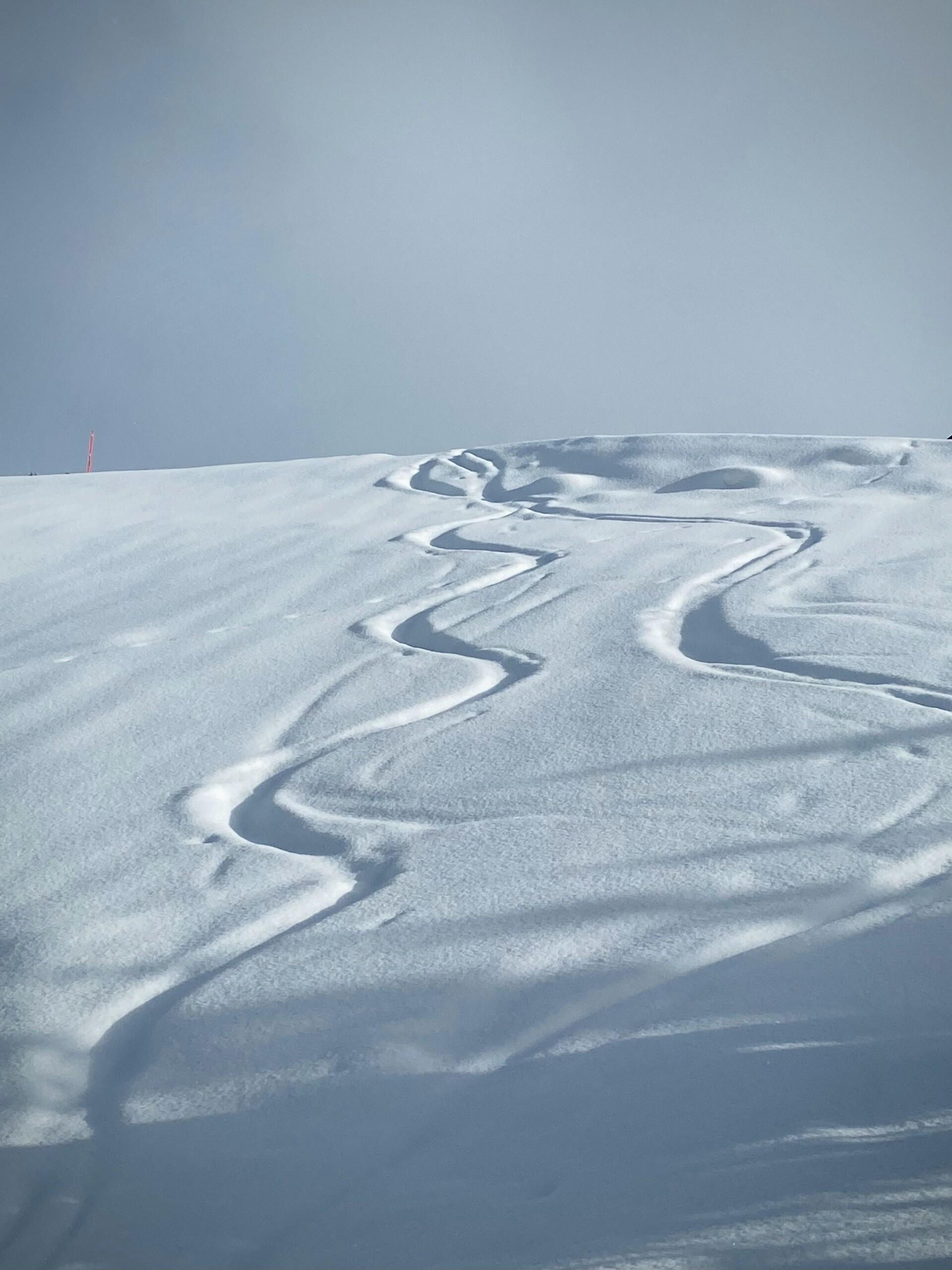 pistes de ski