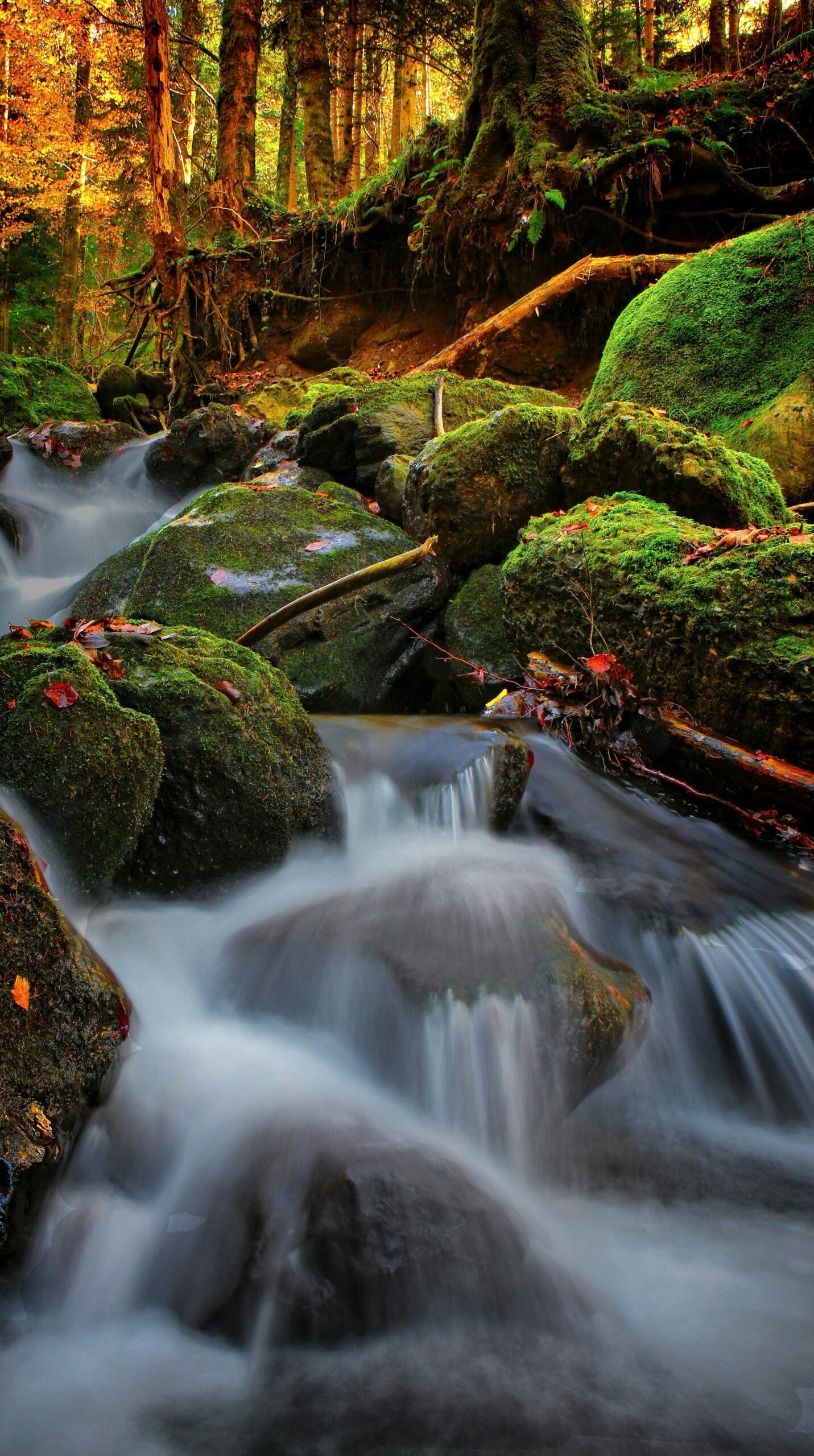 rivière écoulement