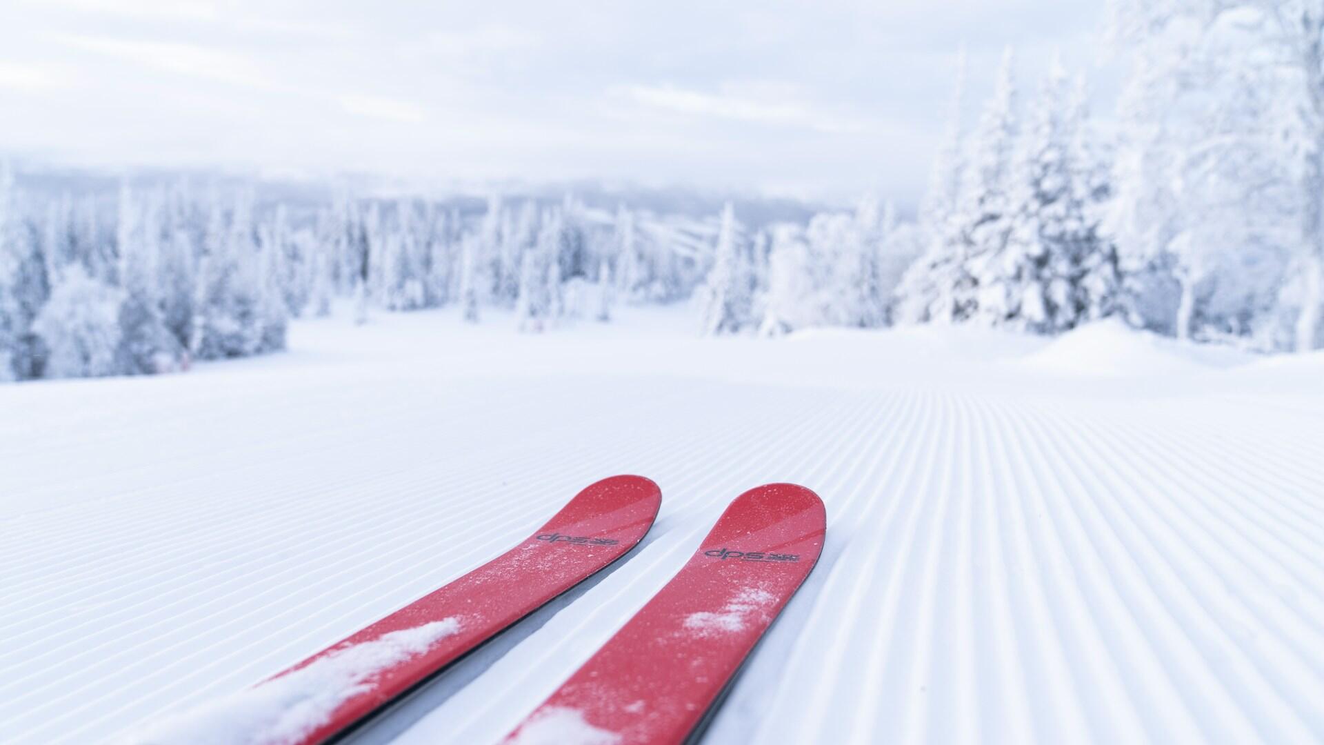 ski pistes