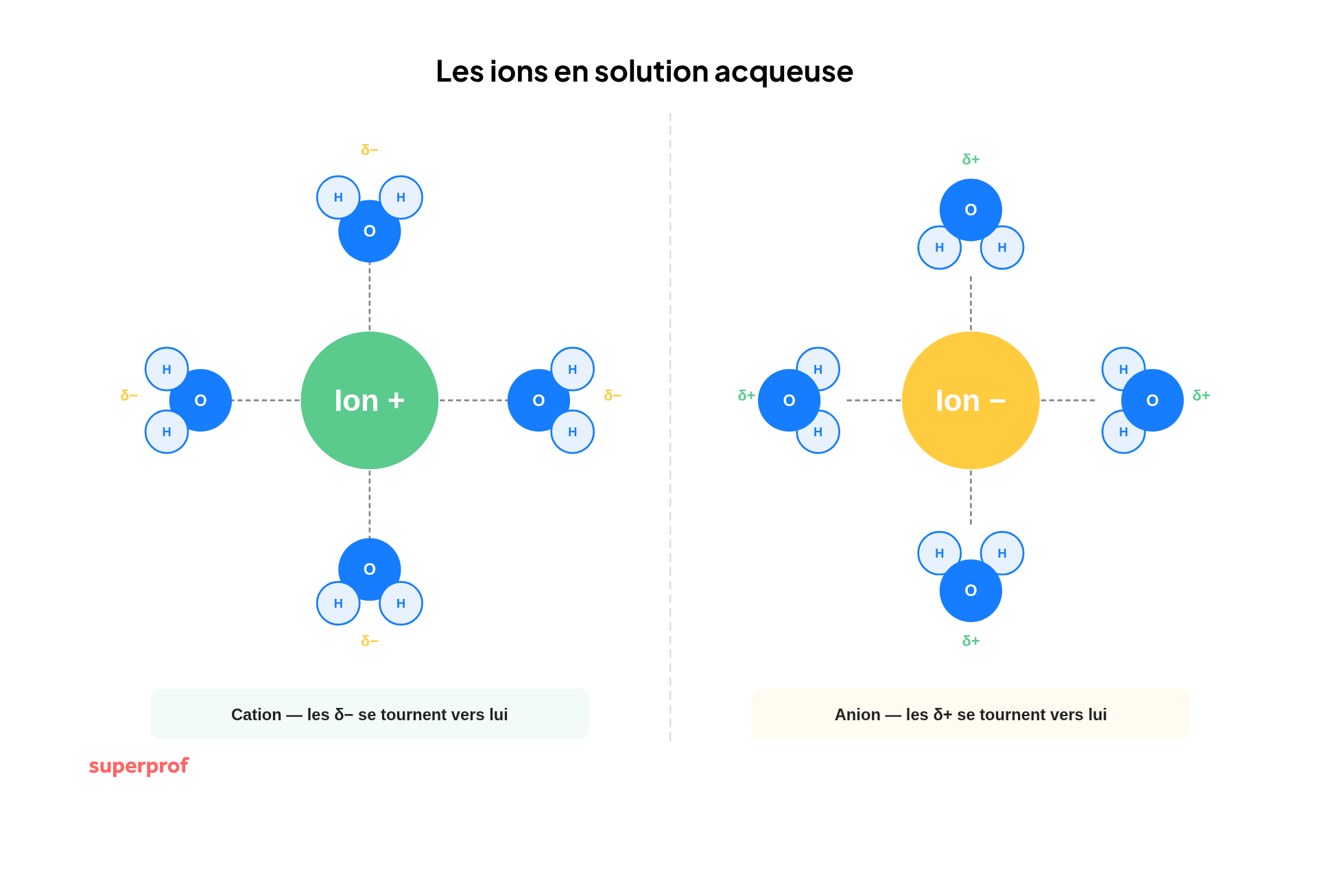 schéma anion cation
