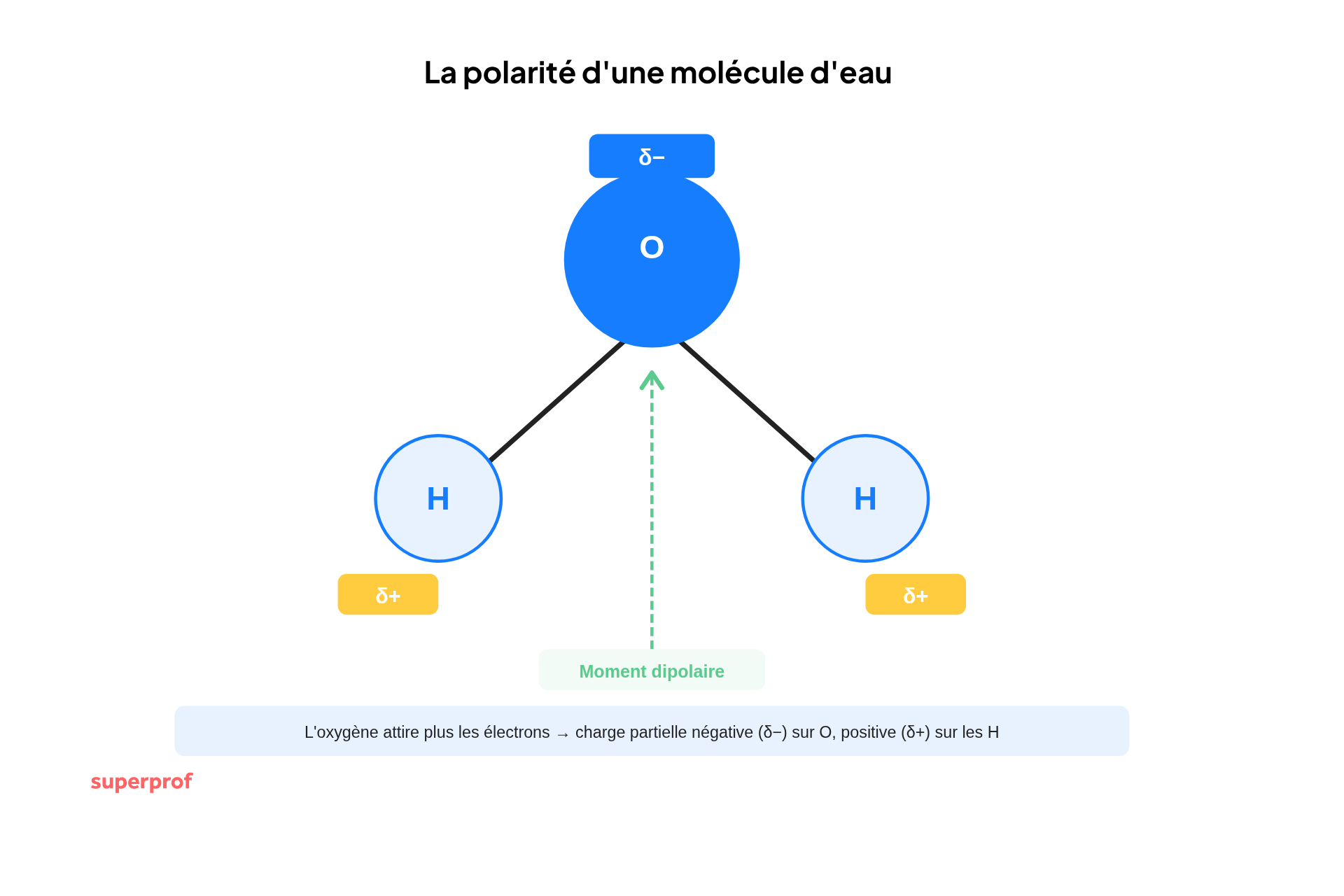schéma polarité molécule d'eau