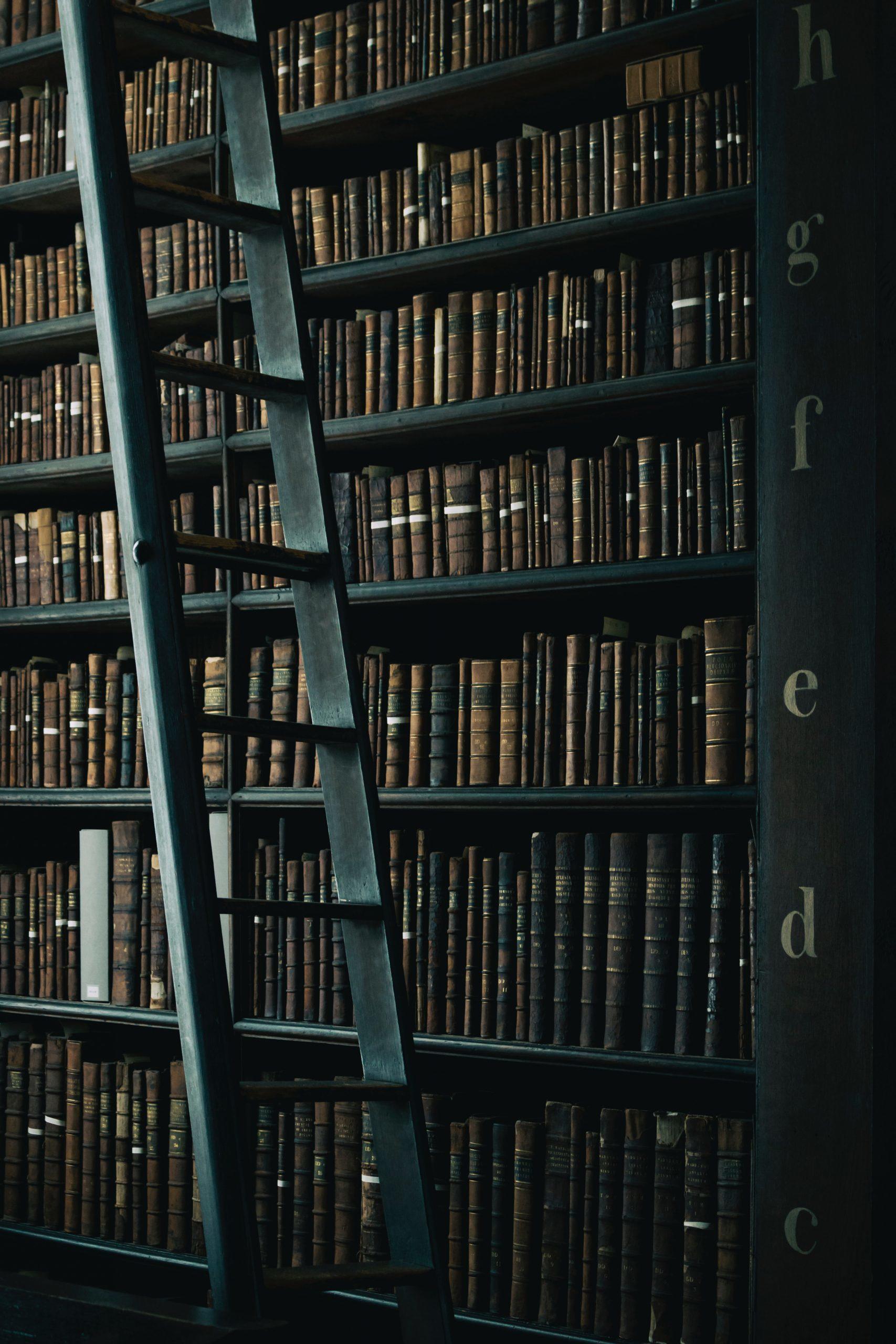 Une bibliothèque ancienne et son échelle.