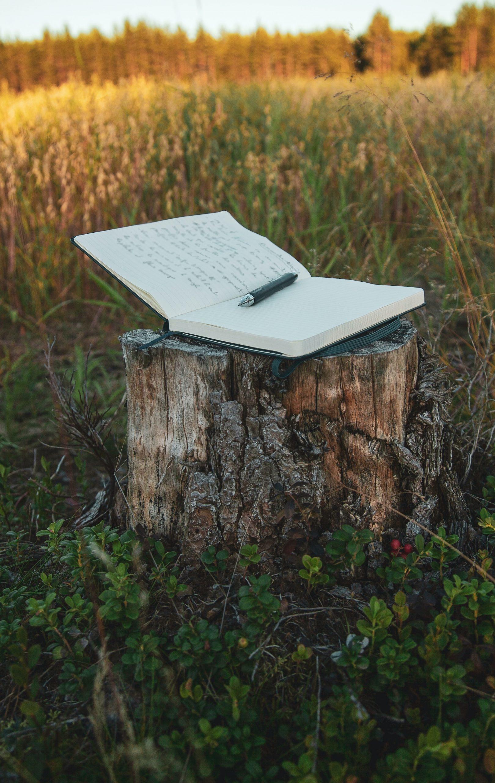 carnet de notes ouvert avec stylo 