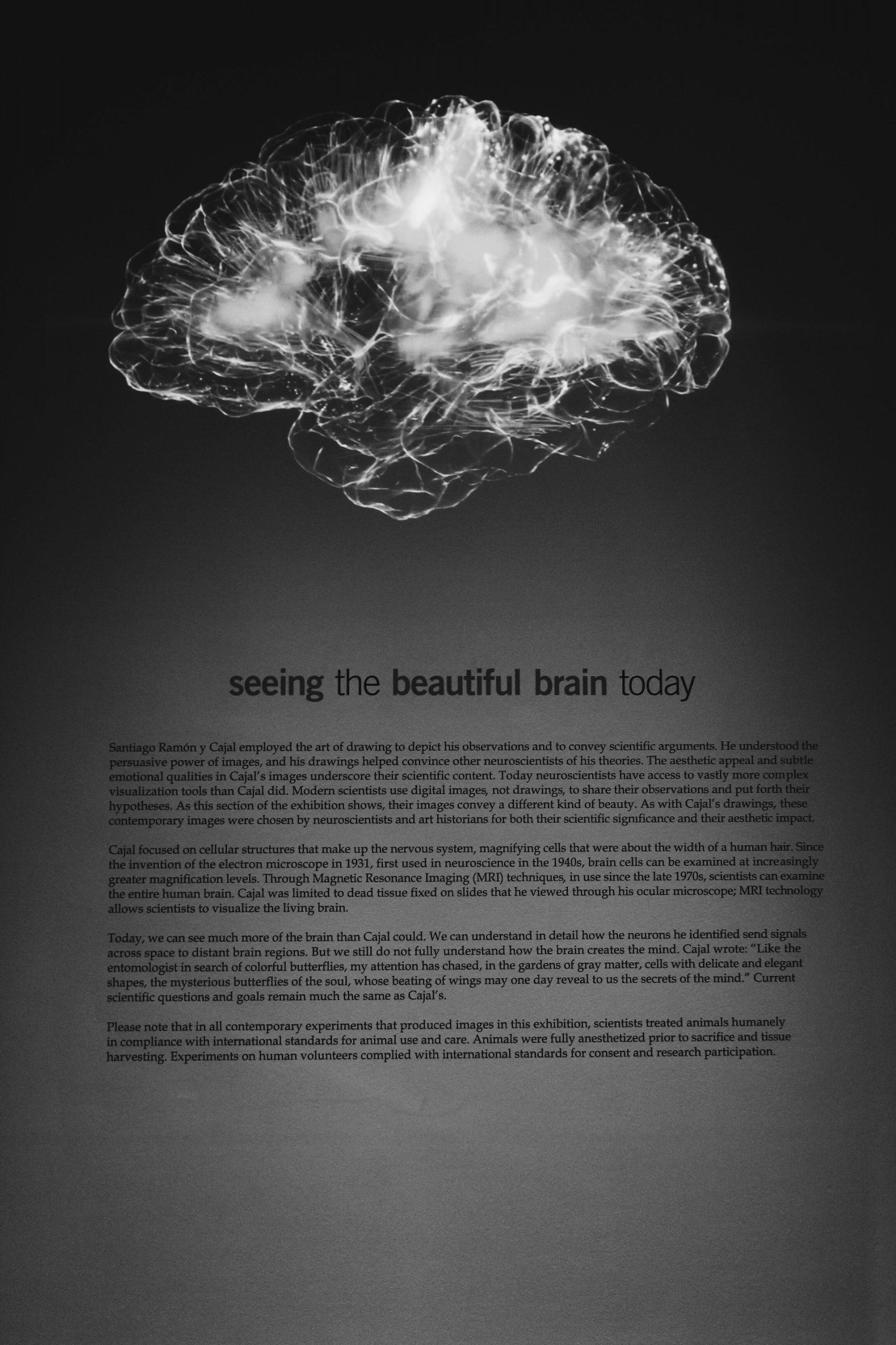 cerveau avec message en noir et blanc