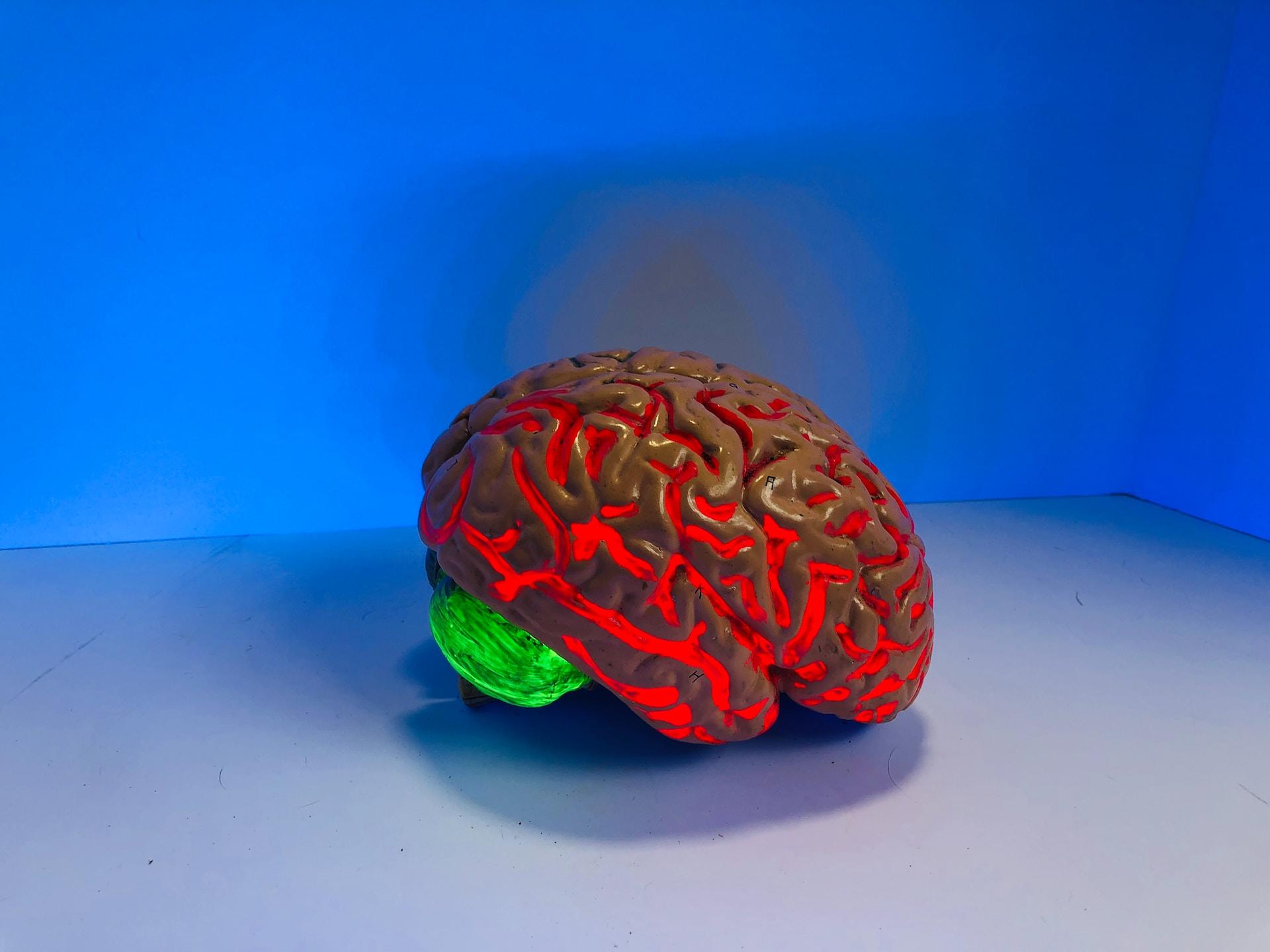 cerveau de laboratoire en ébullition