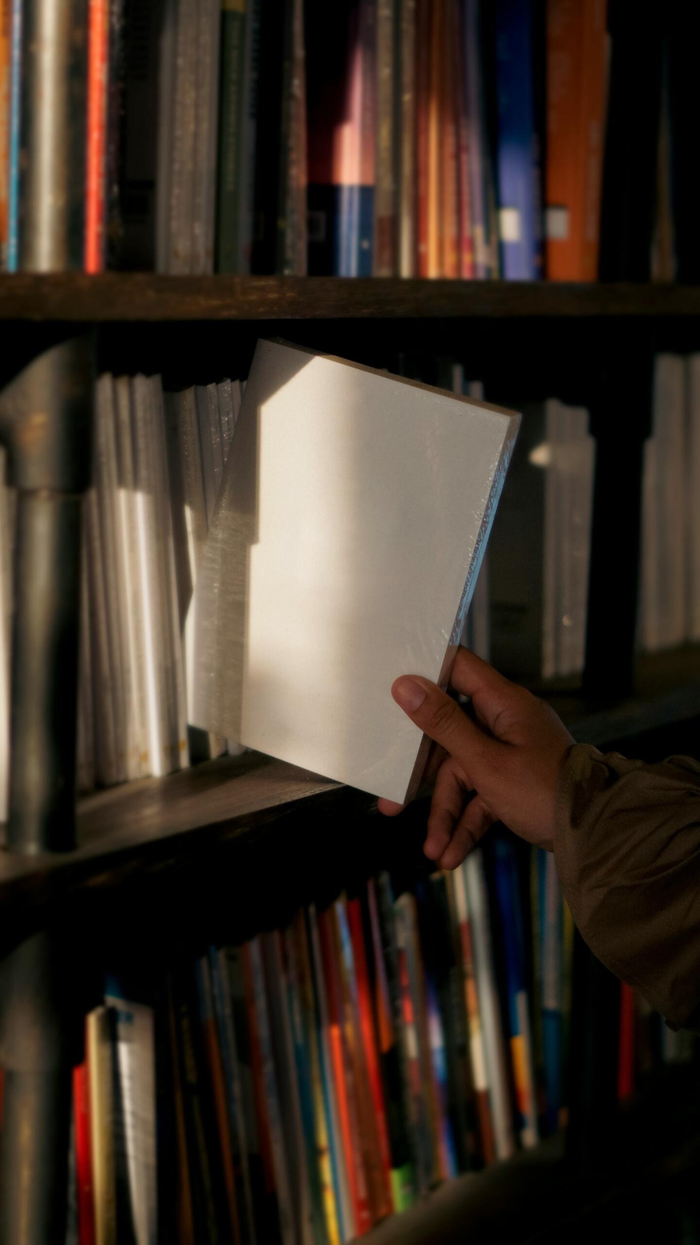 carnet bibliothèque main