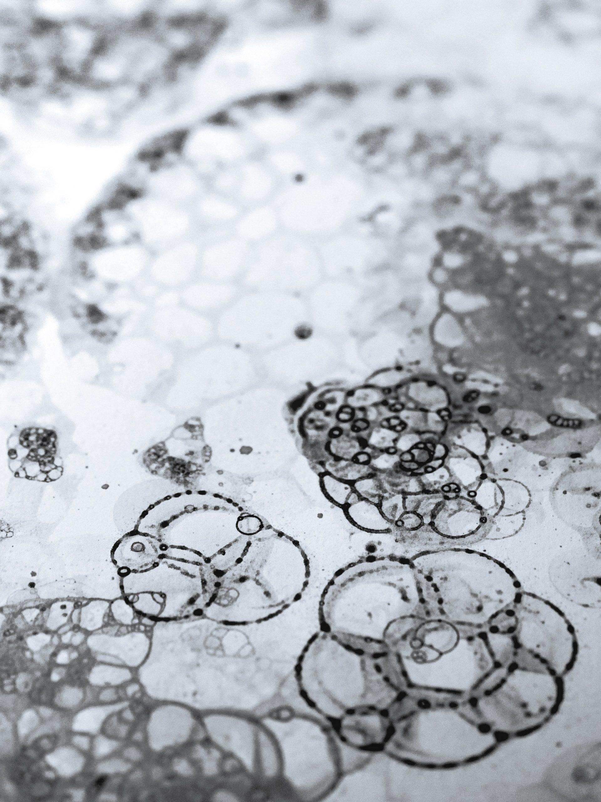 atomes au microscope