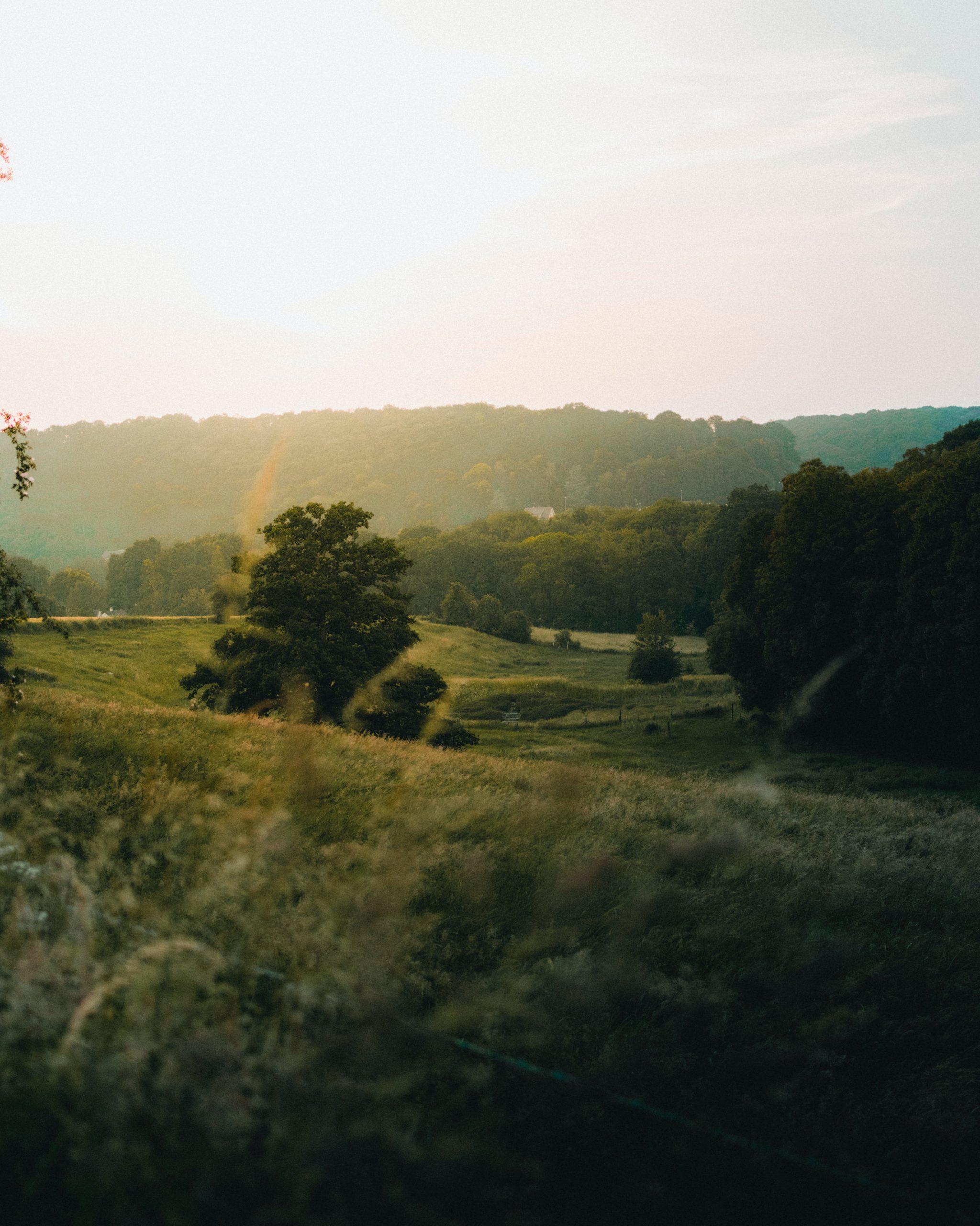 Un paysage de campagne au soleil couchant.