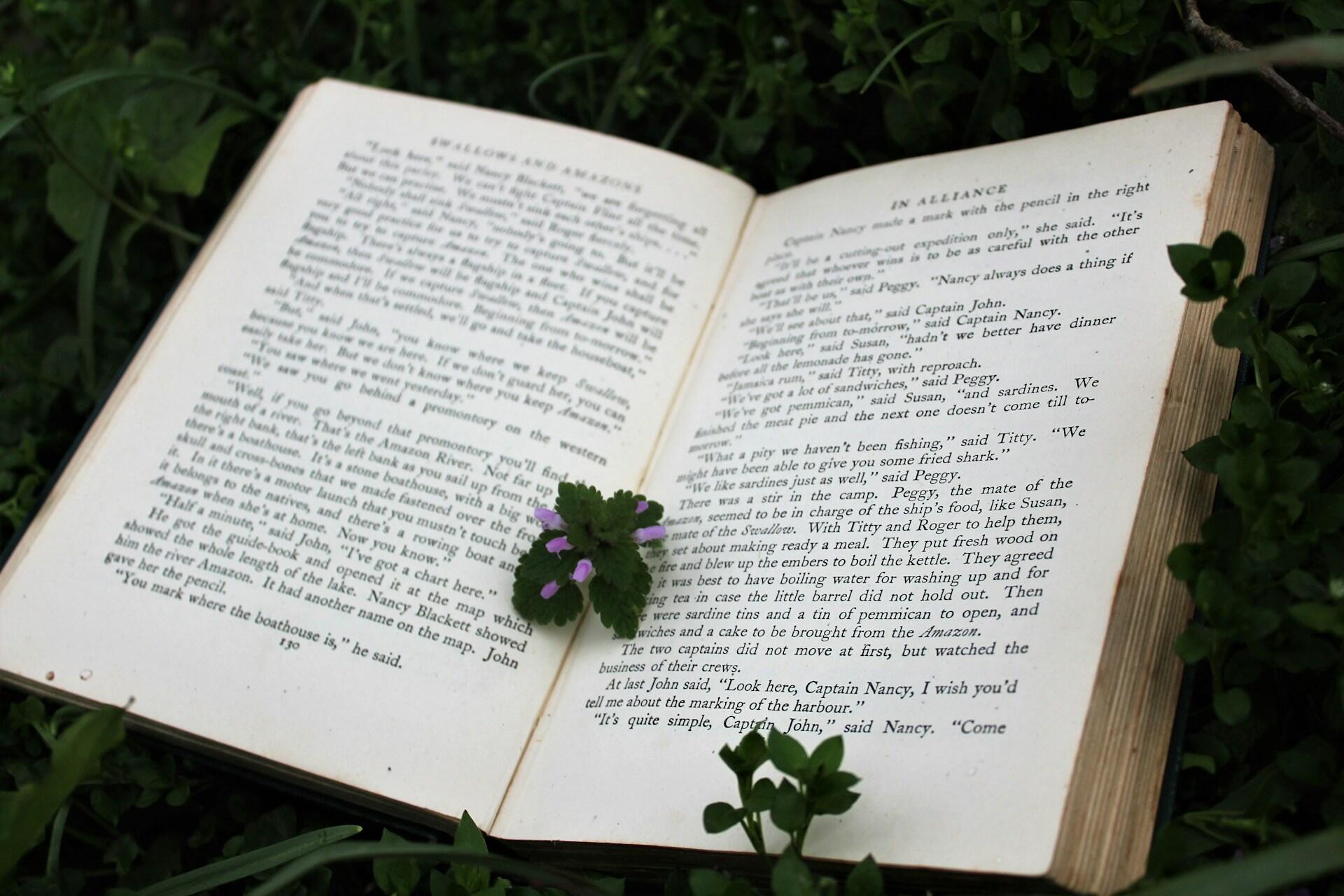 pages d'un livre ouvert