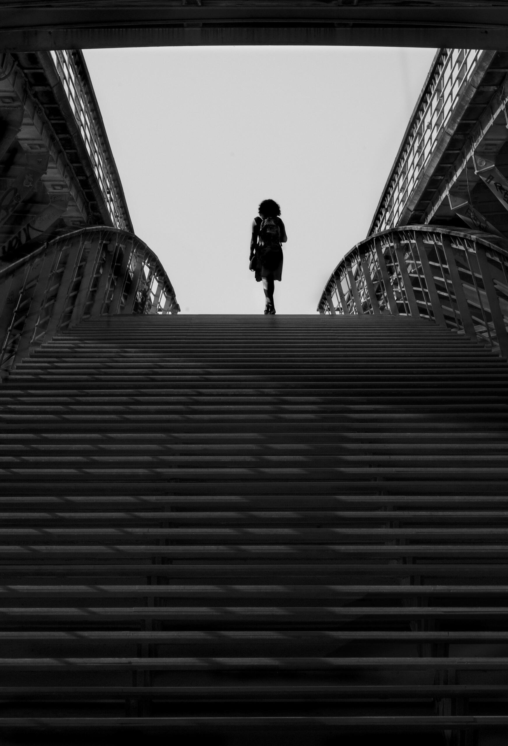 pont Paris