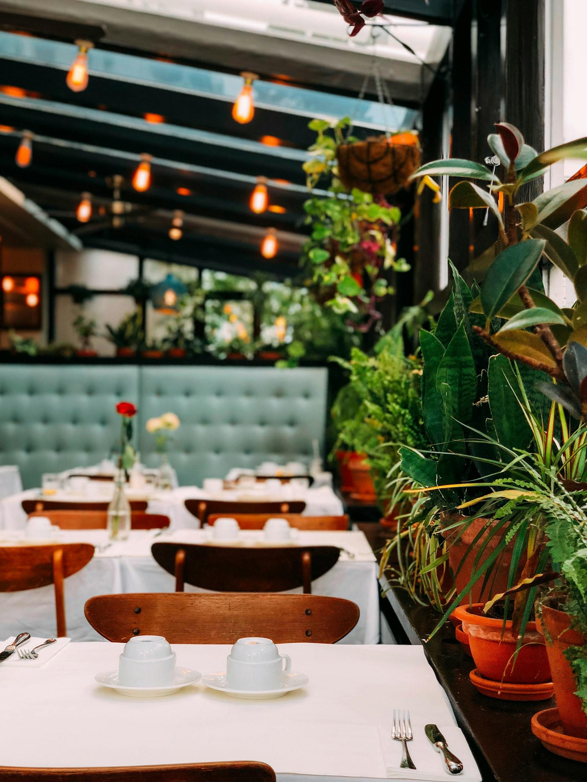 lieu de restaurant chic