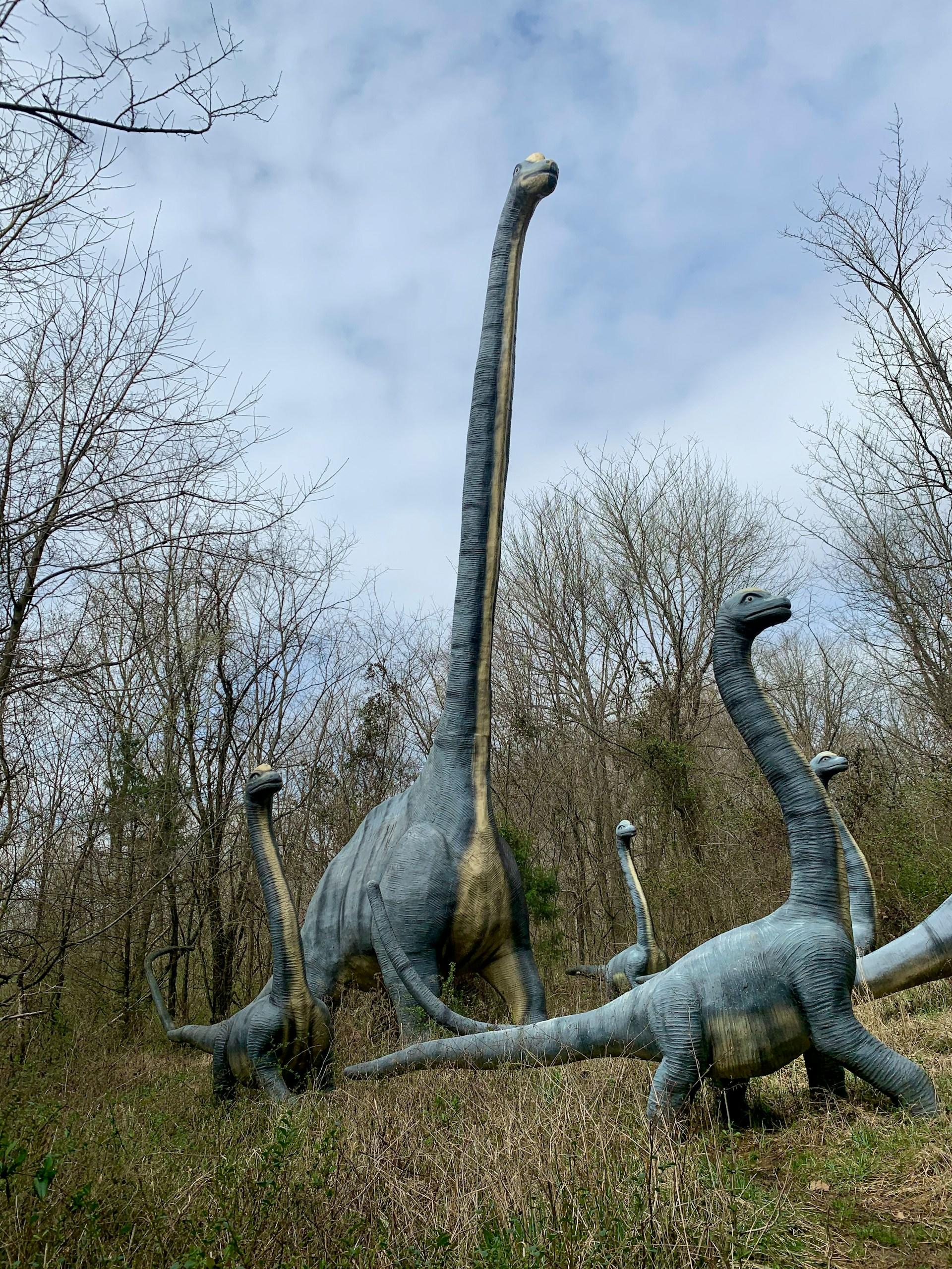 dinosaures dans un parc