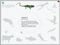 Phyloboite 3D