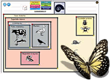phyloboite