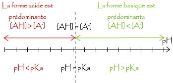 Quels sont les différents domaines de prédominance ?
