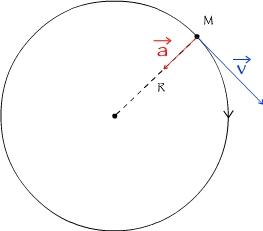 Comment décrire les vecteurs vitesse et accélération d'un mouvement circulaire uniforme ?