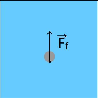 Comment placer le vecteur force sur ce schéma ?