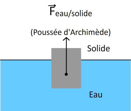 Pourquoi le vecteur force est orienté vers le haut ?