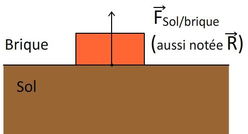 Comment placer le vecteur force sur ce schéma ?