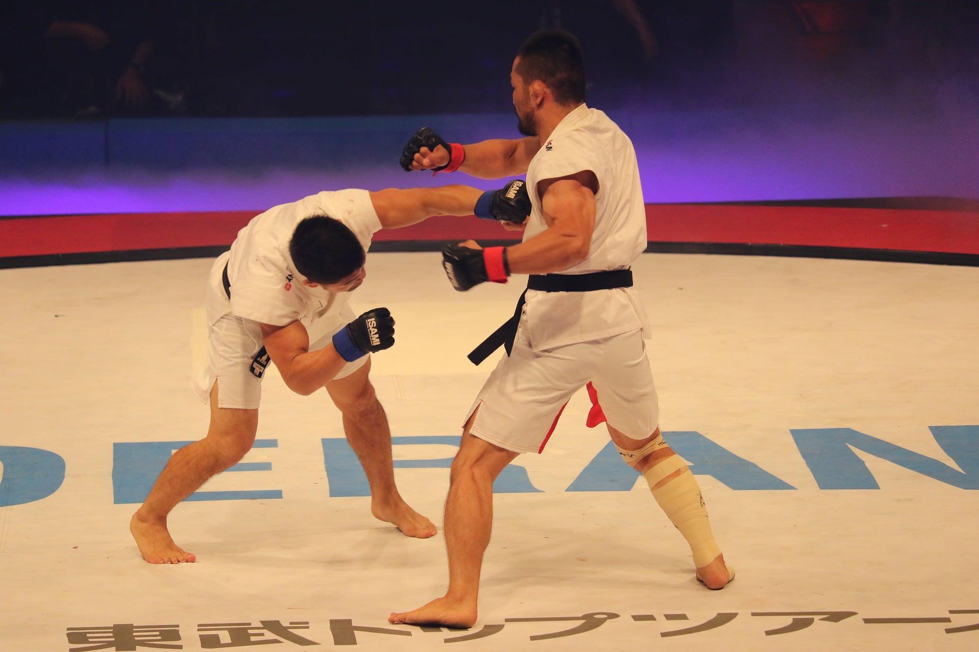 Combien de temps dure la carrière d'un combattant de MMA en France ?