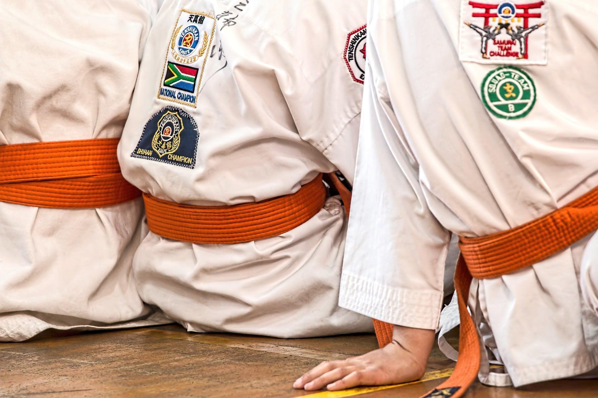 Combien de pratiquants de MMA en France y a t il ?
