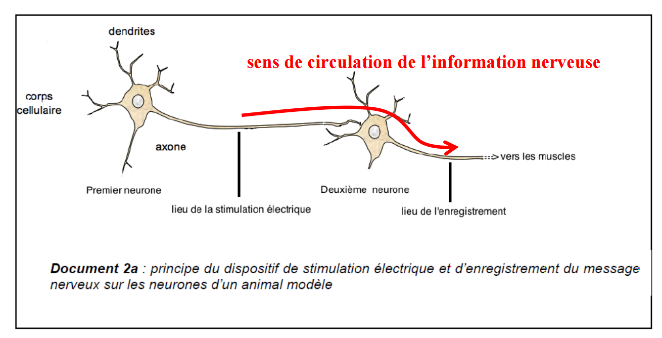 sens circulation information