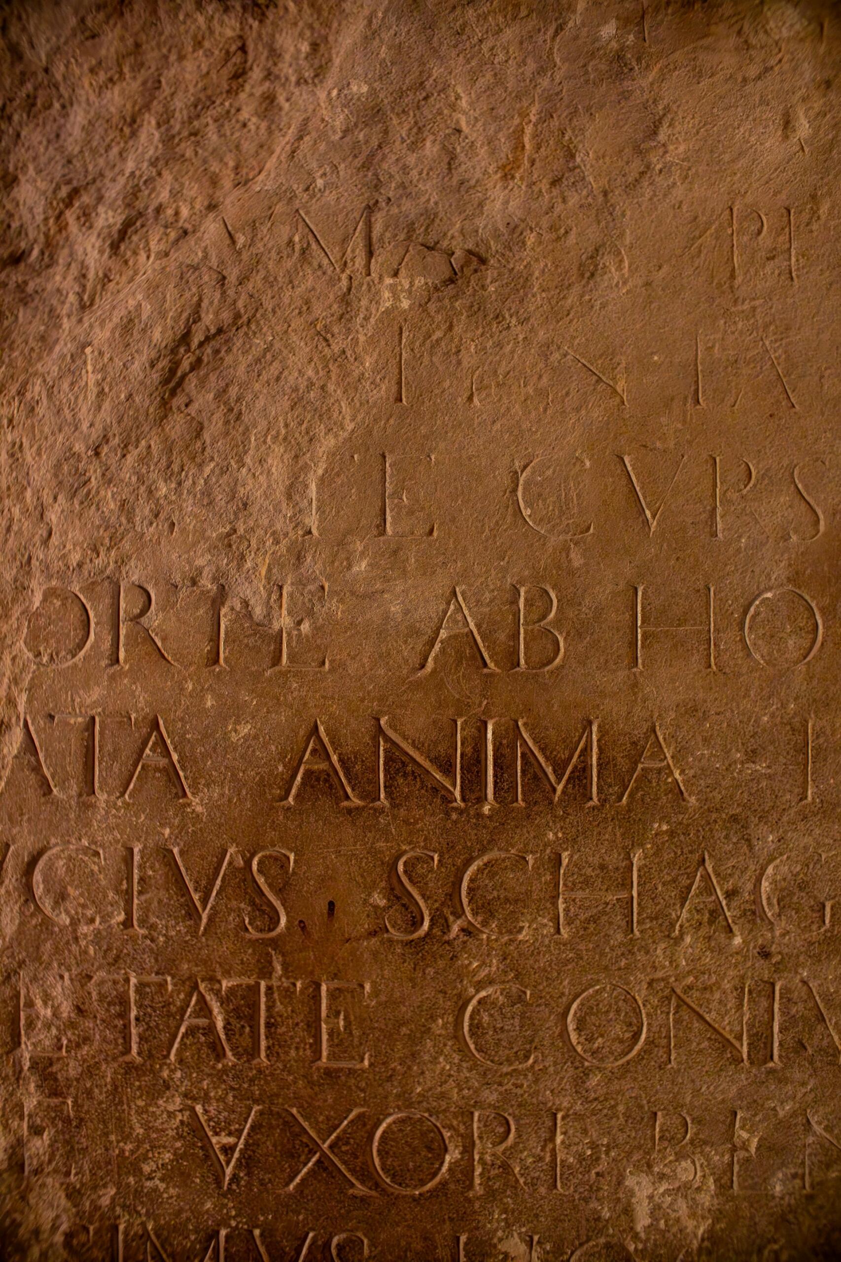 mots latins sur une plaque funéraire