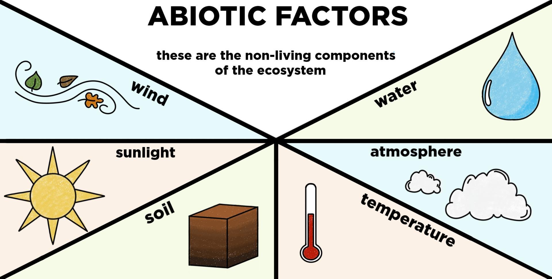 Abiotic Factors