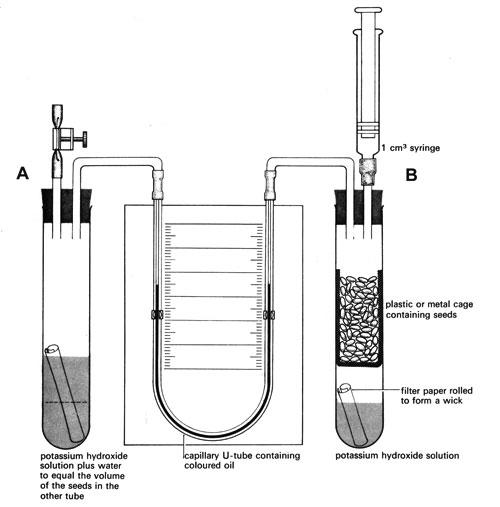 Respirometer