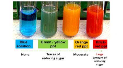 What are Reducing and Non-reducing Sugars in A level Biology