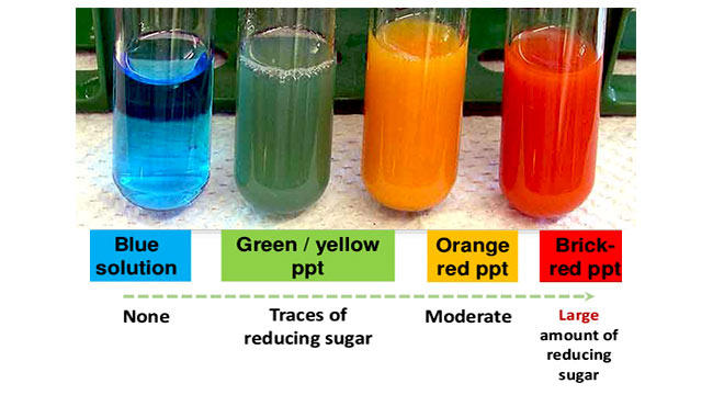 Test for Reducing Sugar Result