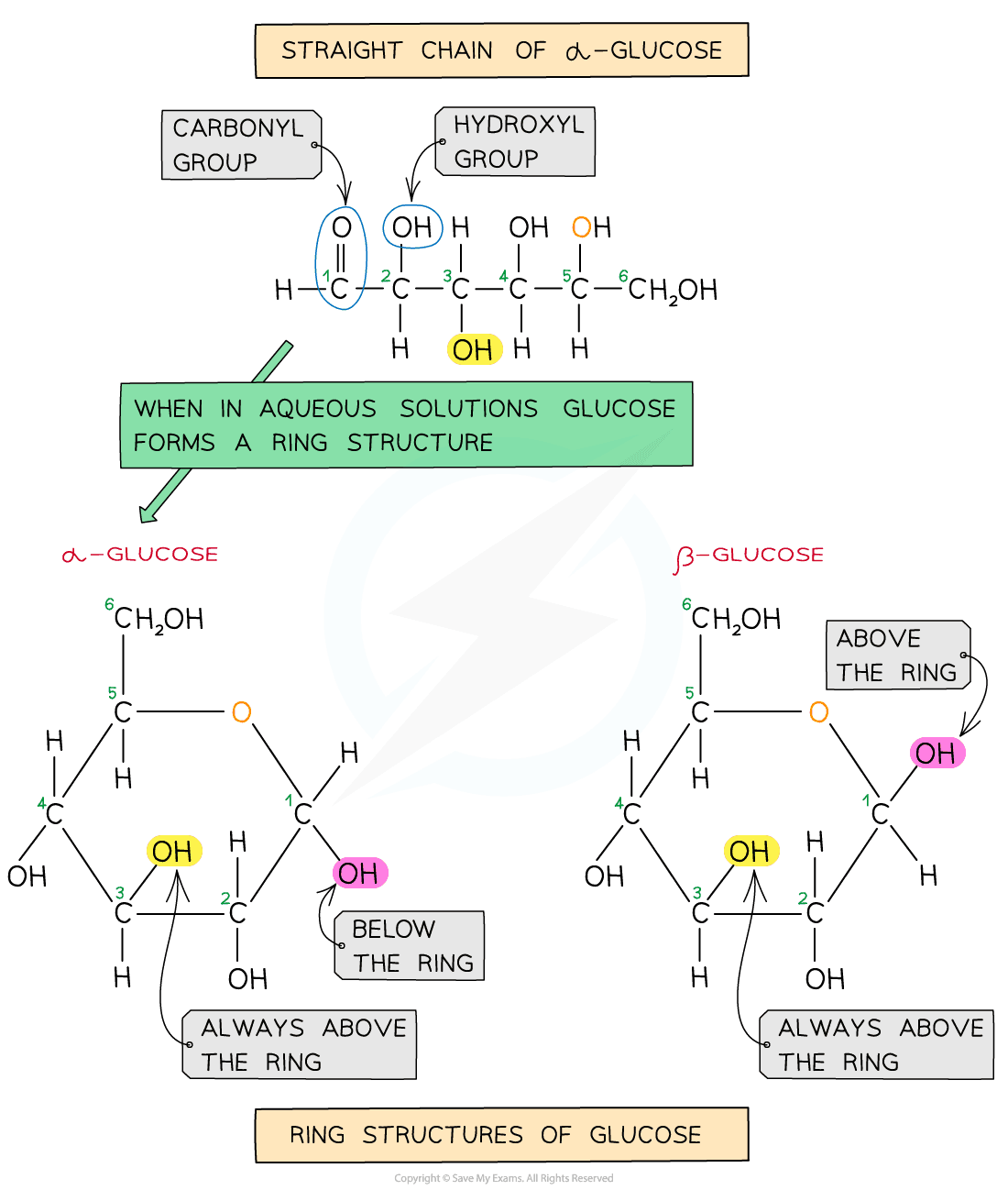 Structure of alpha (α) glucose and beta (β) glucose