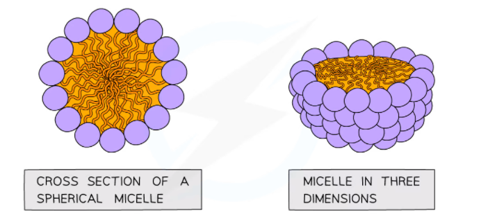 A micelle