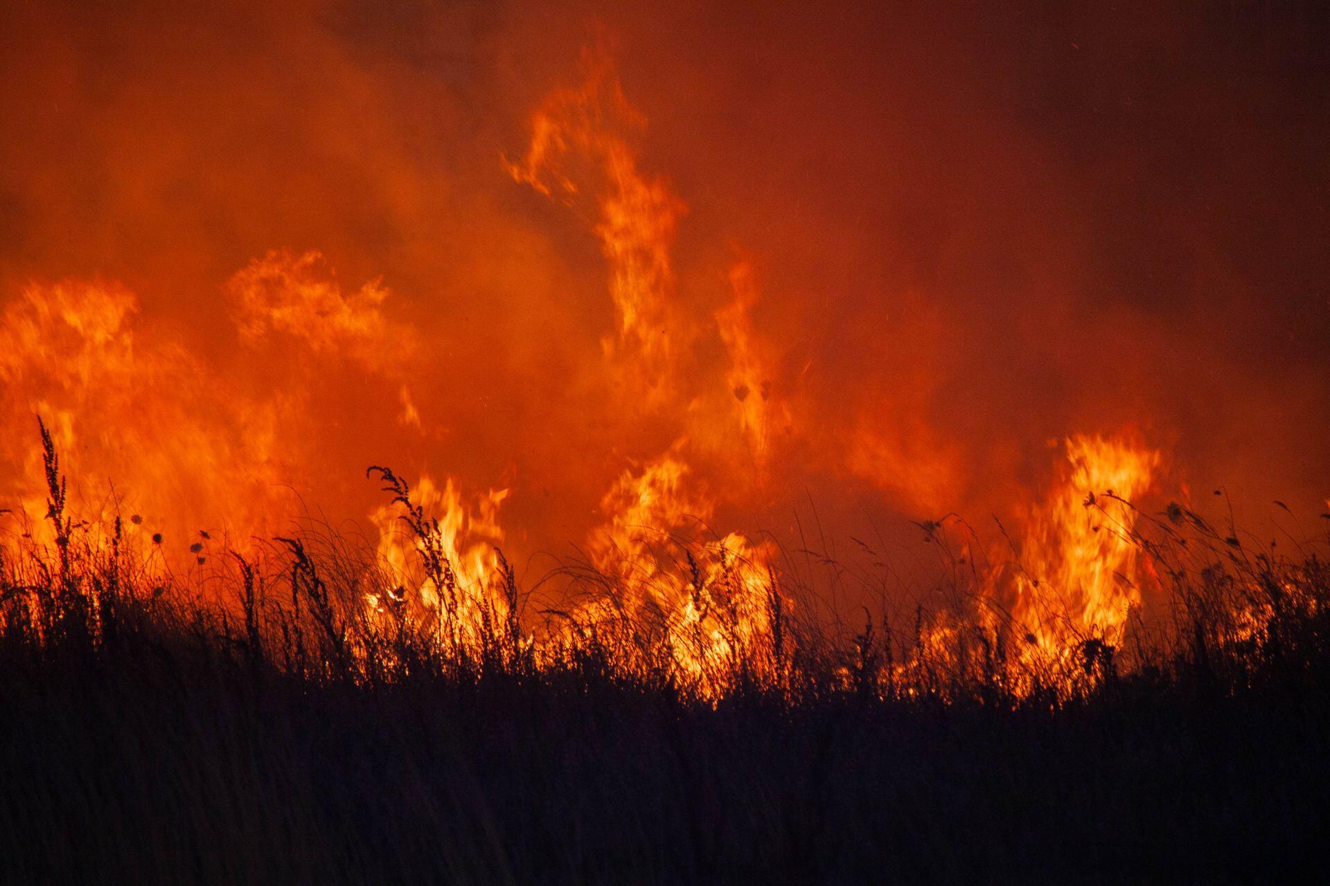 Fire on a grassland at night