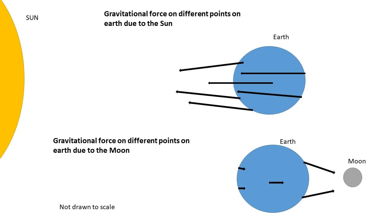 A diagram illustrating the gravitational interactions Between the Sun, Earth, and Moon