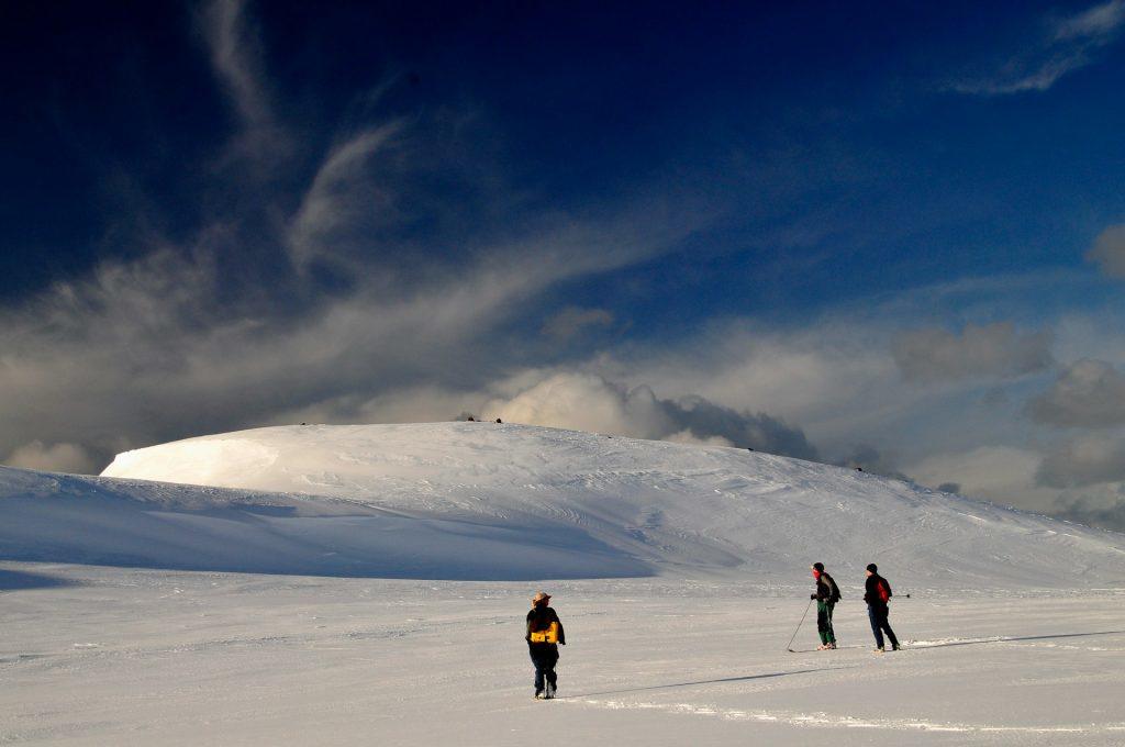 The Living World: Cold Environments