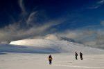 The Living World: Cold Environments