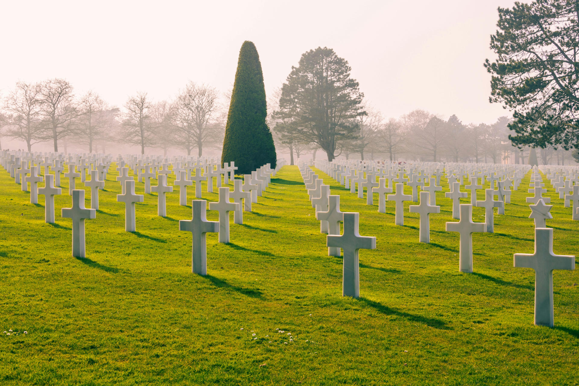 Image of white cross shaped graves of fallen soldiers