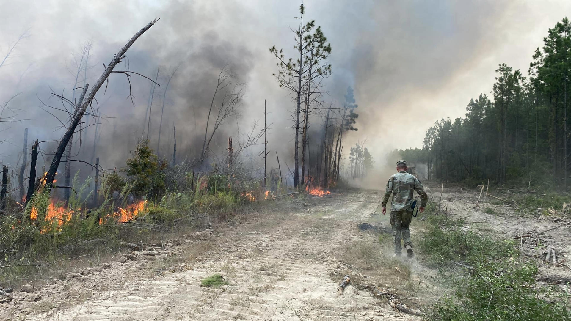 Image of a soldier walking through a forest that is burning